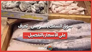 سوق السمك بالسويس.. تعرف على الأسعار بالتفصيل...