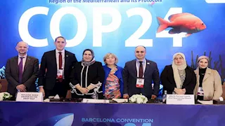 مصر تتولى رئاسة المكتب التنفيذي لاتفاقية برشلونة