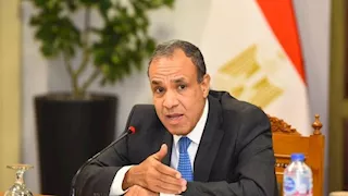 وزير الخارجية: ليس لدينا مشاكل مع دول حوض النيل باستثناء دولة واحدة 