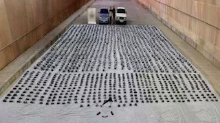 بـ111 مليون جنيه.. إحباط تهريب 1.7 طن مخدرات بالسويس (تفاصيل)