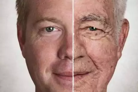 دراسة: الشيخوخة قد تحمي الجسم من الأورام السرطانية