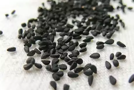 للرجال- 4 فوائد تقدمها حبة البركة للعضو الذكري