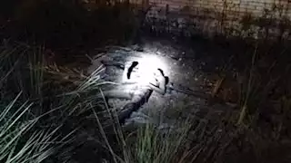  العثور على جثة متفحمة أعلى محور كمال عامر