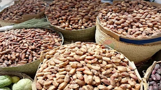 مصر الأولى عالميًا في إنتاج التمور.. فلماذا لا تصدر سوى 2.7% فقط؟ الشعبة تجيب