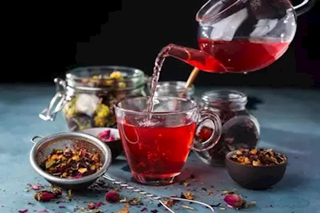 حسام موافي يحذر هؤلاء من شرب الكركديه الساخن