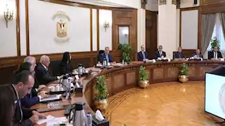  الحكومة توافق على تخصيص 2500 فدان في صحراوي المنيا لمشروع الغابات الشجرية