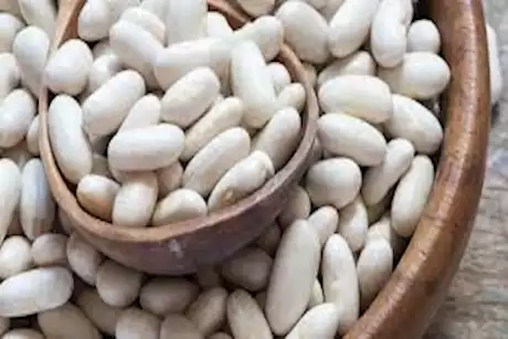 هل تناول الفاصوليا تحسن من صحة العظام؟ خبيرة تغذية تجيب 