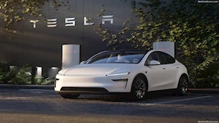 تسلا تقدم سيارتها الأولى في الهند بزيادة 25 ألف دولار عن الأسواق الأخرى