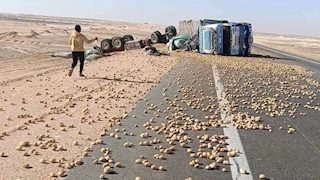 60 طن بطاطس تعيق حركة المرور.. انقلاب تريلا يغلق طريق "أسيوط - الوادي الجديد"