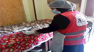 محافظ أسوان يتابع توزيع 500 وجبة غذائية في قرى كوم أمبو -صور