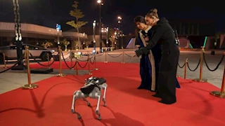 فيفي عبده خائفة من روبوت "رامز إيلون مصر": "ياختاي وروح بقى"