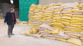   تموين الشرقية تضبط 10 أطنان أسمدة مجهولة المصدر وتحرر محاضر لمخالفات أخرى