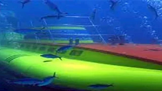 "سندباد" في قاع البحر الأحمر.. رحلة الأعماق تتحول إلى مأساة بالغردقة