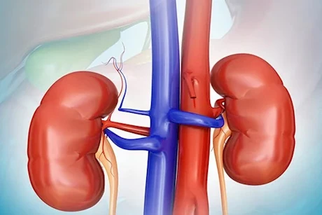 "صحتك في خطر".. تجنب هذه الأطعمة تدمر كليتيك والقولون ببطء