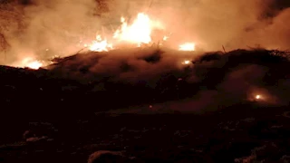  السيطرة على حريق بإحدى جنائن البرتقال في المحلة- صور  