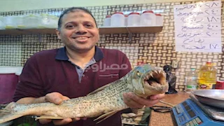 ملوحة كلب البحر.. أشهر أكلات الصعايدة في عيد الفطر - فيديو وصور 