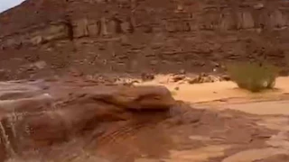 بعد التعرض لأمطار متوسطة.. سيل يضرب وادي السعال بسانت كاترين