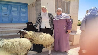 بيطري جنوب سيناء يحذر من المخاطر الصحية لتناول الأسماك المملحة 