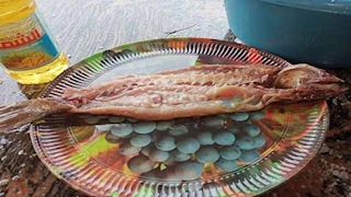 زيادة 10% في أسعار الفسيخ والرنجة مع اقتراب شم النسيم