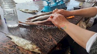 بالفسيخ.. أهالي كفر الشيخ يستعدون لعيد الفطر (صور)