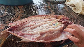 تحذير لهذه الفئات من الأسماك المملحة بشم النسيم.. وهذه بدائل صحية 