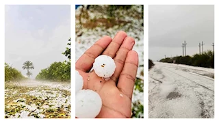 أجواء أوروبية.. 6 صور ترصد جمال الطبيعة بالبحيرة عقب تساقط الثلوج عليها