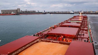 ميناء دمياط يستقبل 27.5 طن قمح مستوردة من روسيا خلال 24 ساعة