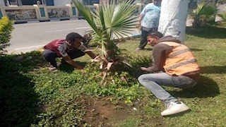 جهود مستمرة في الإسماعيلية لتجميل المدينة خلال احتفالات العيد