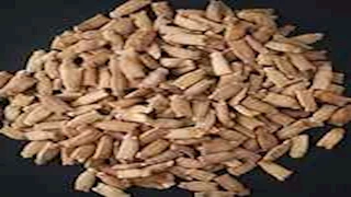 هل اللب الخشب يزيد الوزن؟.. اعرف السر 