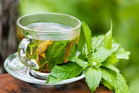 علاج الكبد الدهني بشاي النعناع.. هل هذا ممكن؟