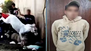 قرار عاجل من النيابة في فيديو سائحة وسايس بالهرم