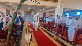 جنوب سيناء تحتفل بـ "أحد الشعانين".. سعف مزين وصلوات حاشدة ترسم الفرحة -صور   