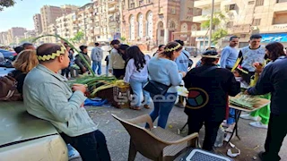 أغصان الزيتون تزين الشوارع| احتفالات مبهجة في أحد الشعانين (صور)