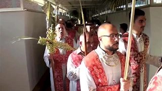 من الكنائس إلى الشوارع.. مسيحيو المنيا يحتفلون بأحد الشعانين بالصلبان والتيجان السعف -صور 