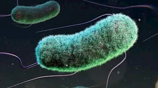 دراسة: 3 ملايين حالة وفاة بين الأطفال مرتبطة بمقاومة المضادات الحيوية