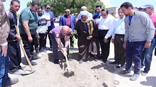 رئيس جامعة سوهاج يغرس شتلات ليمون -صور 