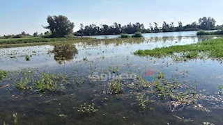 ما فعله النيل بالمنوفية.. 798 فدانًا غارقًا بين رواية المزارعين وتصريحات المسؤولين (صور)