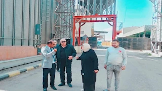 "بشاير الخير هلت".. بدء موسم توريد القمح لصوامع وشون بورسعيد - صور