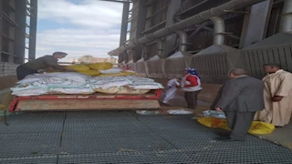 لجان ميدانية و13 مواقعًا لاستقبال المحصول.. بدء موسم توريد القمح في المنوفية (صور)