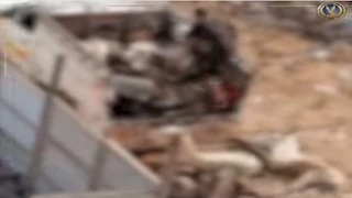 فيديو ذبح "حمير" يثير الجدل بالمنوفية.. والداخلية تكشف التفاصيل