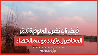 فيضانات تضرب المنوفية تدمّر المحاصيل وتهدد موسم الحصاد