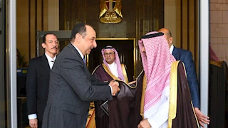 وزير قطاع الأعمال يستقبل سفير السعودية بالقاهرة لبحث التعاون المشترك