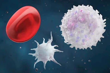 حسام موافي يحذر من هذين المرضين: يدمران الدم