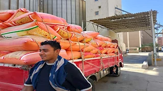 السعر حسب النقاوة.. بدء توريد القمح لصوامع ومطاحن أسوان- فيديو وصور