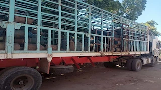 تموين الأقصر: 15 جنيهًا حد أقصى لتوصيل أسطوانة البوتاجاز إلى المنازل