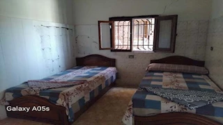 أول تعليق من تضامن بني سويف على حريق دار الأيتام