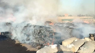 حريق يلتهم شونة قطن بطنطا