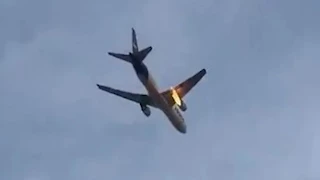 على متنها 153 شخصًا.. أرنب بري يتسبب في حريق بمحرك طائرة أمريكية (فيديو)