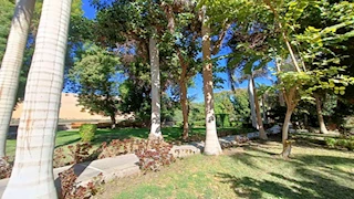  الحديقة النباتية بأسوان تتزين لاستقبال زوار شم النسيم وعيد الربيع -صور