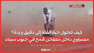 كيف تتحول حبة الغلة إلى دقيق و ردة؟.. مصراوي داخل مطحن قمح في جنوب سيناء